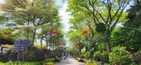 20 Super tree Park