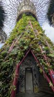 20241216-3 im Garden by the Bay.jpg