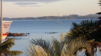 20241219_1-Guten Morgen aus Paihia.jpg