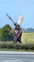 20241220_8 auf dem Weg nach Auckland.jpg