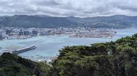20241224_18 Blick vom Mount Victoria.jpg