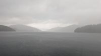 20241226_4 und wieder liquid sunshine.jpg