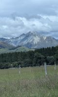 20241229_8 auf dem Weg zum Milford Sound.jpg
