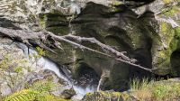20241230_11 die Schlucht.jpg