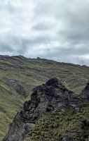 20241231_8 der Gorilla vom Skippers Canyon.jpg