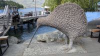 20241231_9 ein übergroßer Kiwi.jpg