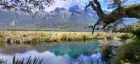 204 Impressionen am Spiegelsee