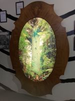 Kauri Museum 