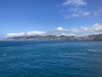 Fährfahrt auf die Südinsel 