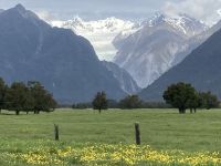 Gletscher Franz Josef und Fox