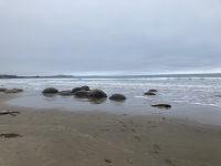 Moeraki Boulders