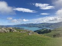Blick auf Akaroa