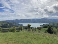 Blick auf Akaroa