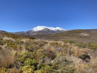 Wanderung Tongariro Nationalpark