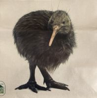 Kiwi