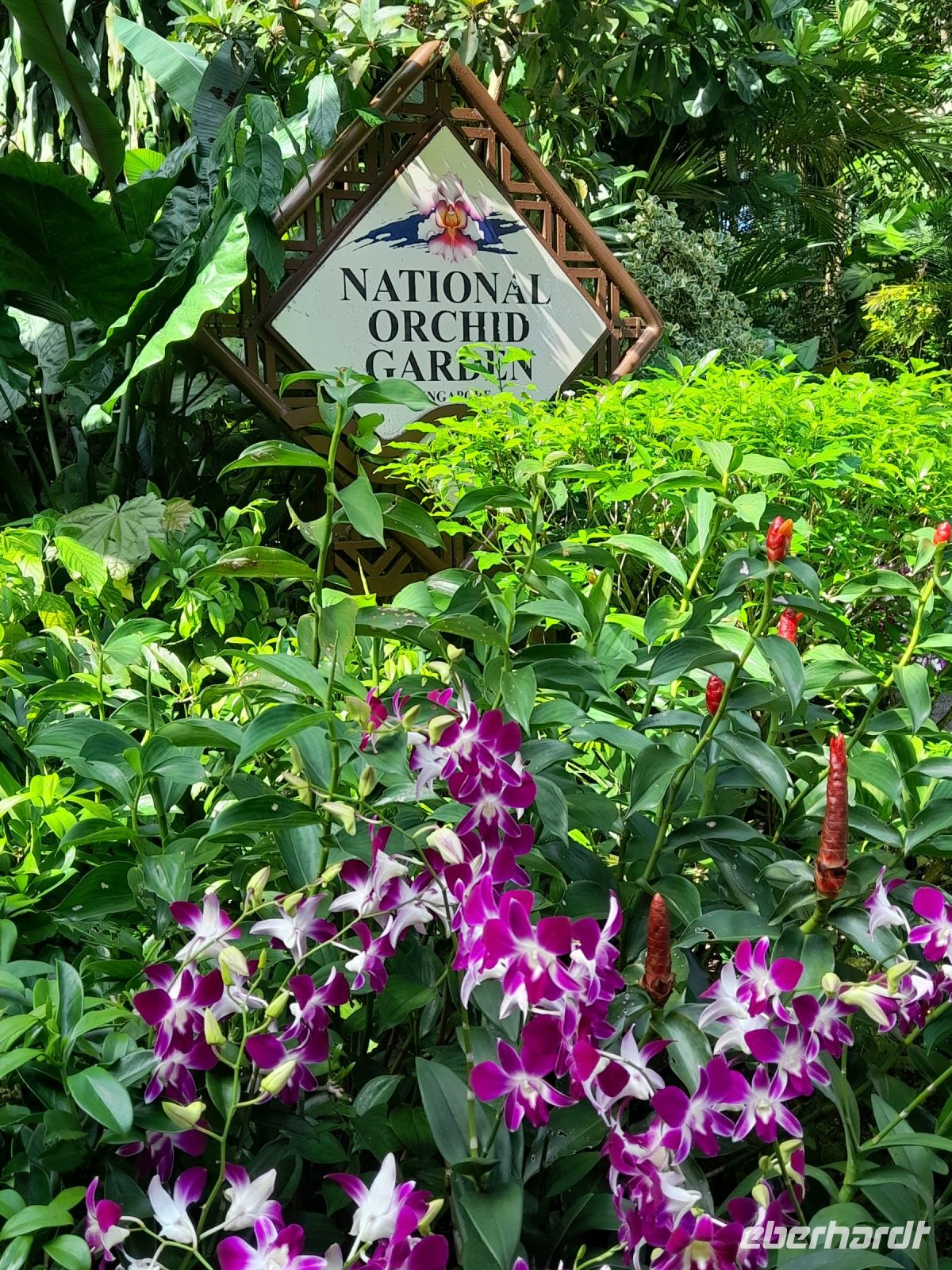 Orchideen Garten