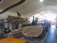 Kauri Museum
