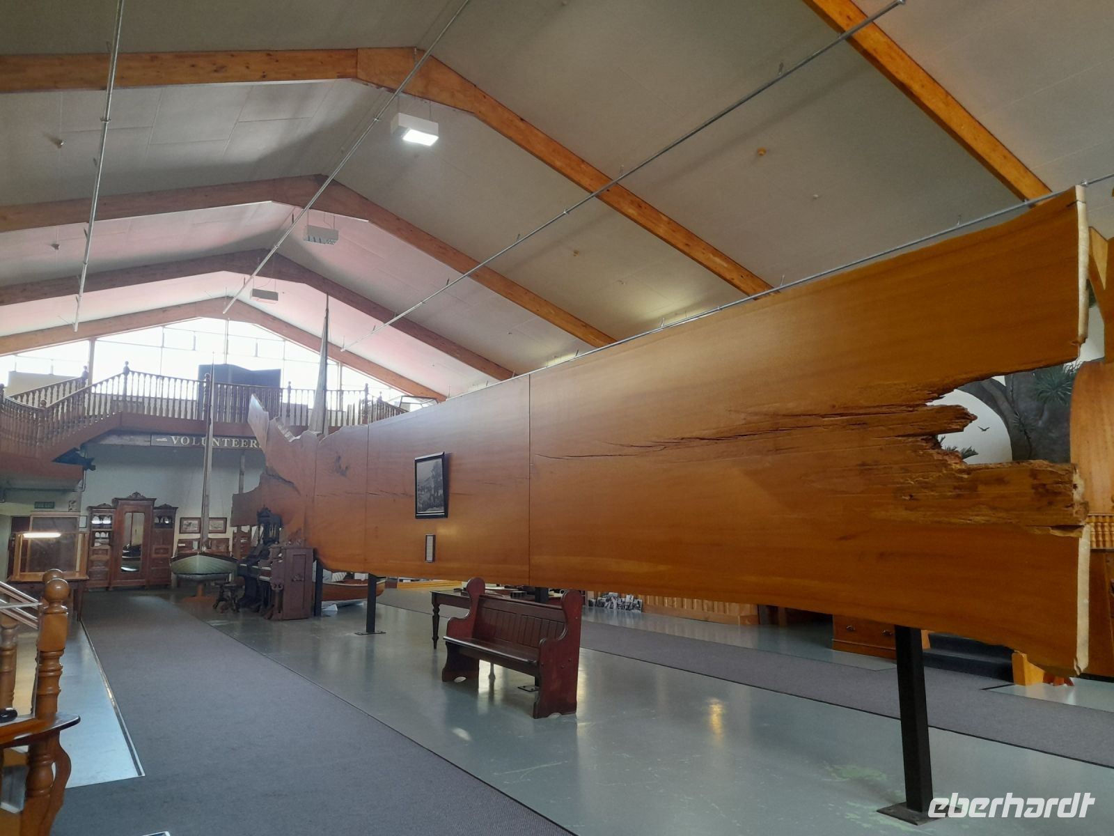 Kauri Museum