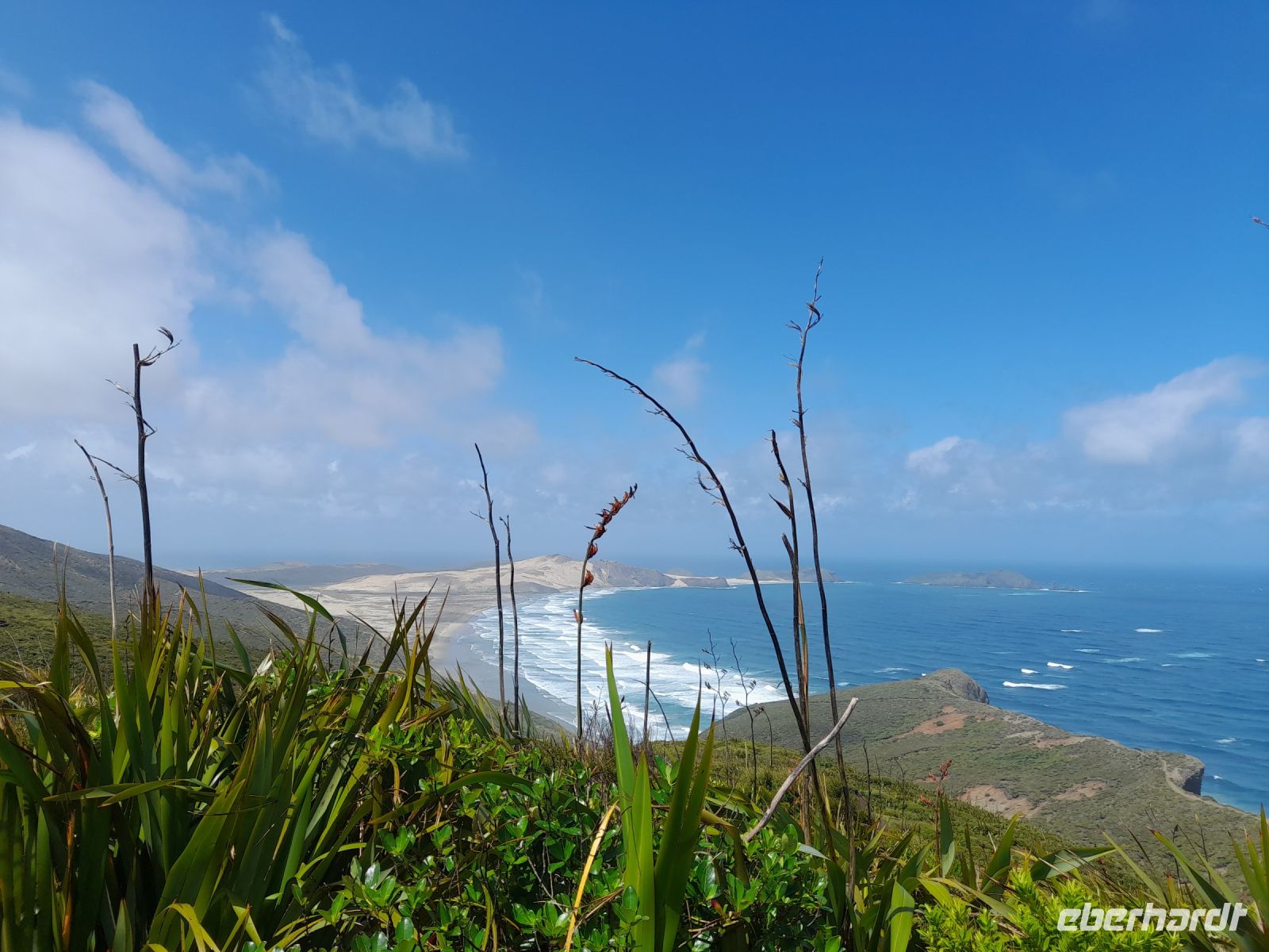 Cape Reinga