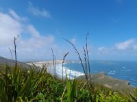 Cape Reinga