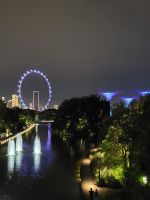 02-007 Singapore by Night