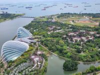 02-008 Singapore bam Tag