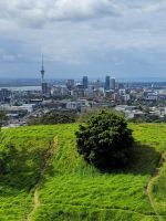 3-003 Auckland vom Mt. Iden