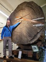 3-005 Kauri Museum in Matakohe