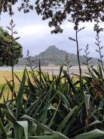 5-003 Auf dem Weg zur Coromandel-Halbinsel