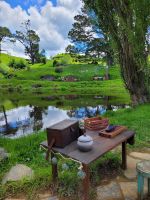 7-009  Zu Besuch bei den Hobbits