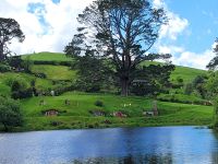 7-013 Zu Besuch bei den Hobbits