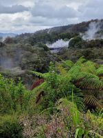 8-004 Bei den Maoris - Geysir von Whakarewarewa