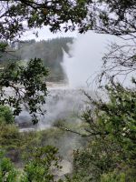 8-005 Bei den Maoris - Geysir von Whakarewarewa