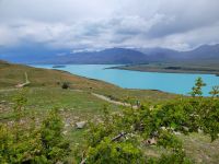 11-004 Lake Tekapo
