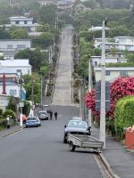 12-010 Dunedin - Baldwin Street - die steilste Strasse der Welt