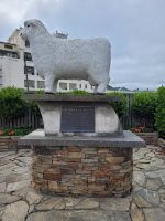 13-001 Stopp in Gore