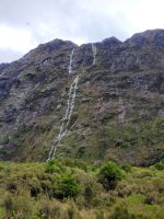 13-003a Auf dem Weg zum Milford Sound