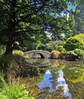 15-007 Queenstown - Botanischer Garten