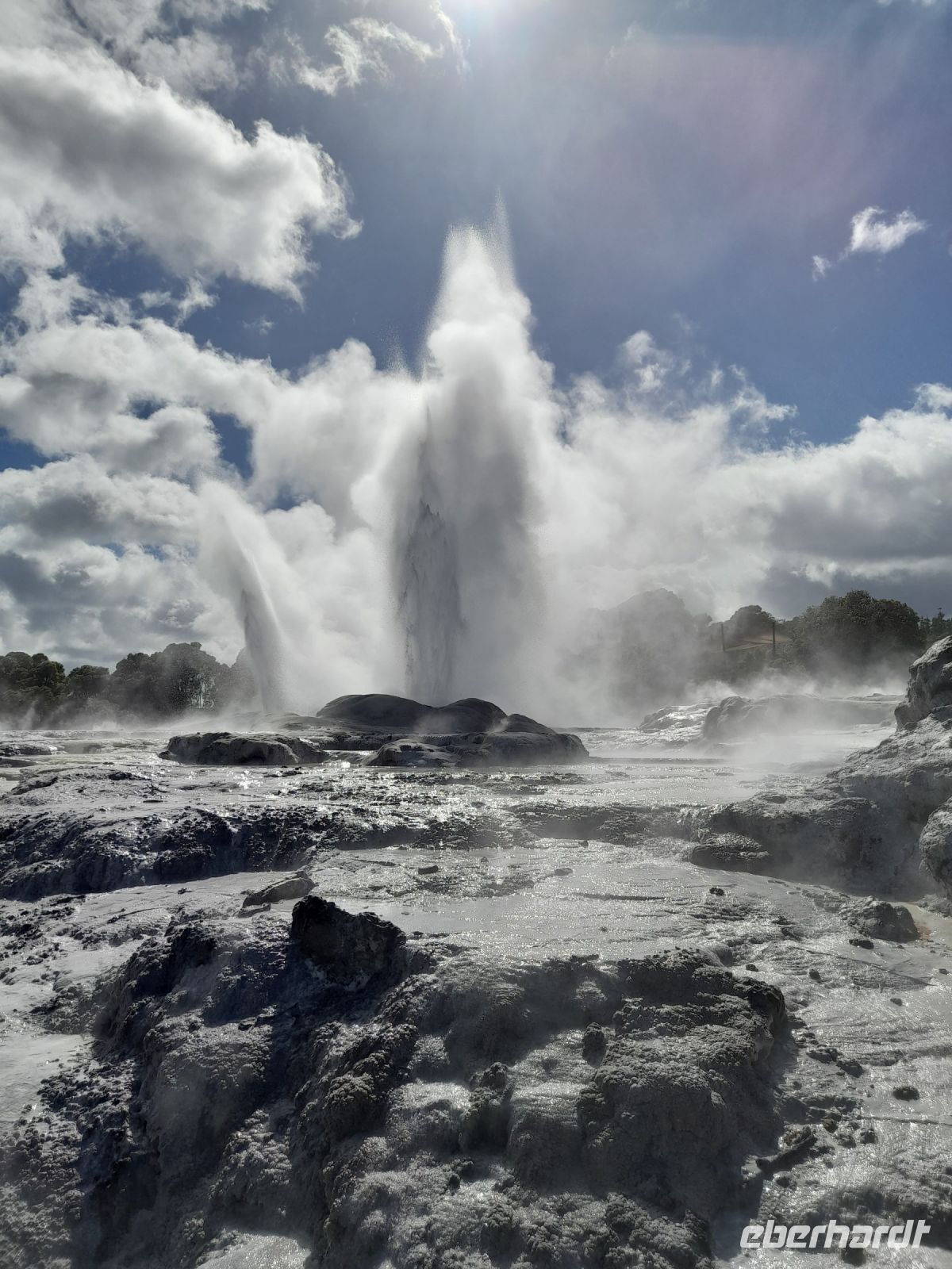 Te Puia Geysir