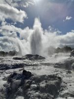 Te Puia Geysir