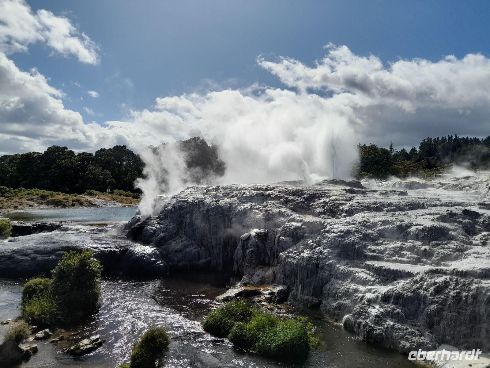Te Puia Geysir