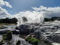 Te Puia Geysir