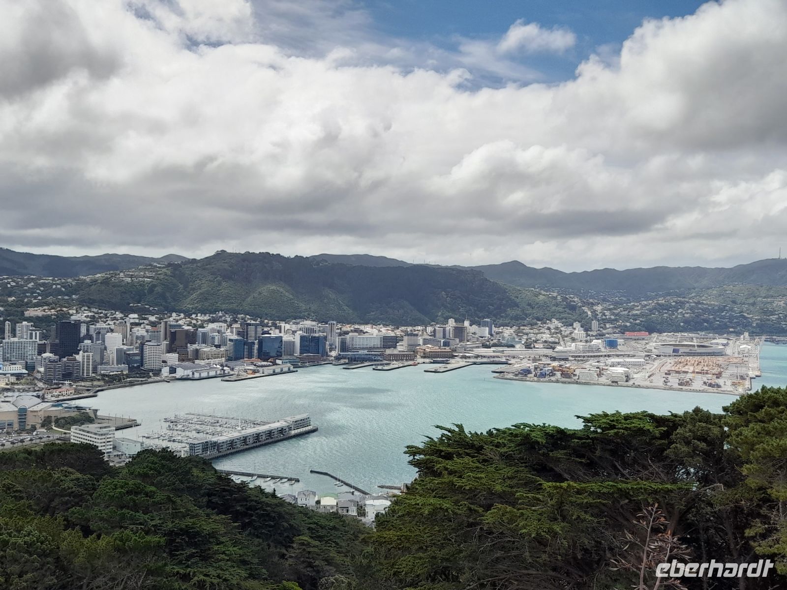 Blick auf Wellington vom Mount Victoria
