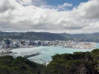 Blick auf Wellington vom Mount Victoria