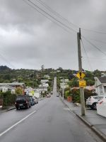 Baldwin Street in Dunedin