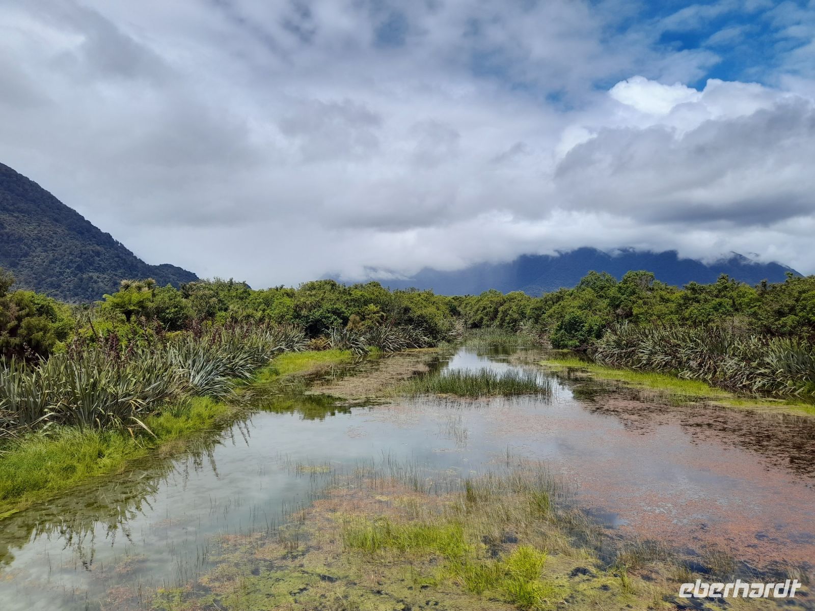 Haast Swampland