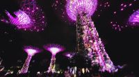 Rundreise Neuseeland - Supertrees in Singapur