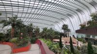 Rundreise Neuseeland - Gardens by the Bay in Singapur