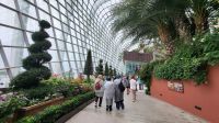 Rundreise Neuseeland - Flower Dome im Gardens by the Bay in Singapur