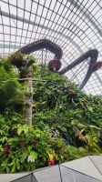 Rundreise Neuseeland - Cloud Forest Dome im Gardens by the Bay in Singapur